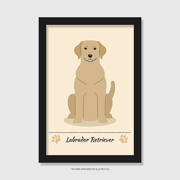 Quadro Labrador Amarelo