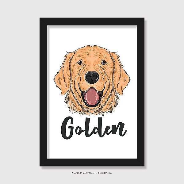 Quadro Cachorro Golden - Modelo 1