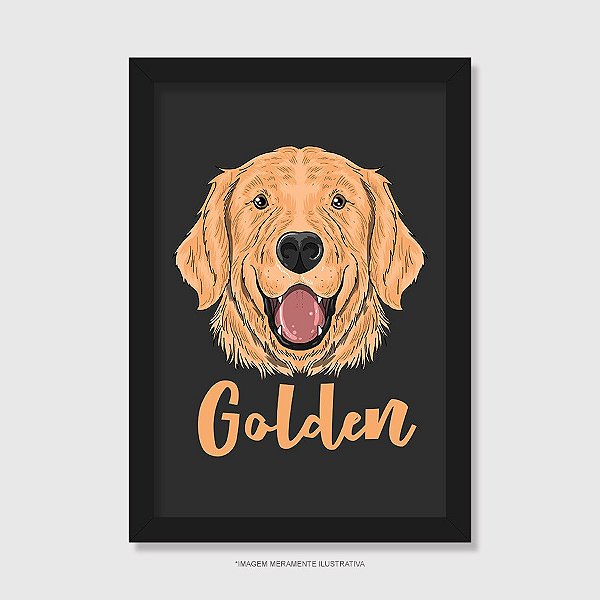 Quadro Cachorro Golden - Modelo 2