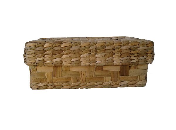 Caixa Organizadora Multiuso 23x15x07 Taboa Natural