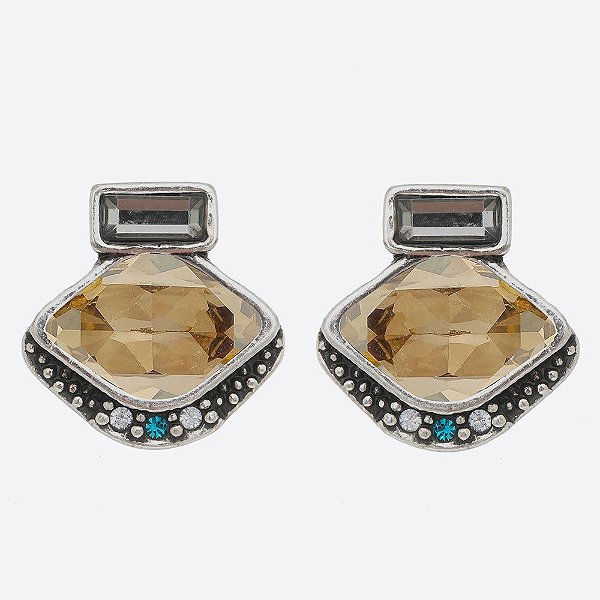 Brinco Design Golden Básica Prata