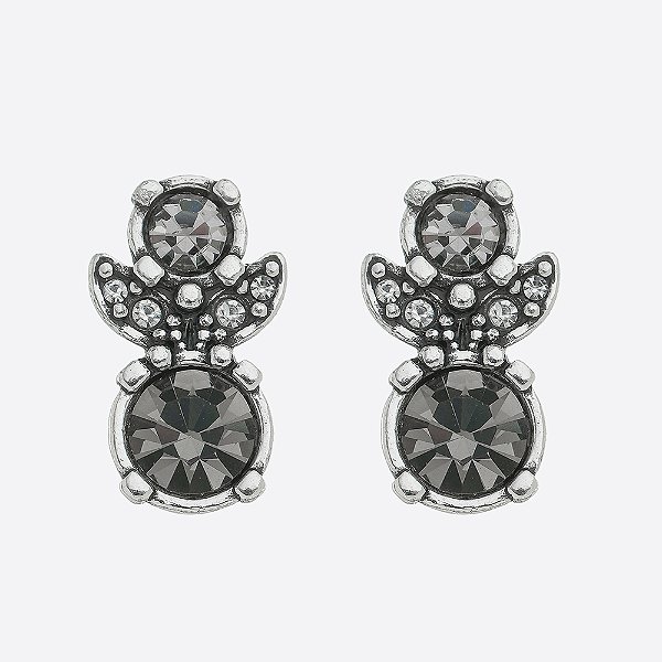 Brinco Formas Tasmin Prata