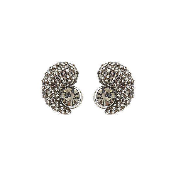 Brinco Delicado Flamma Prata