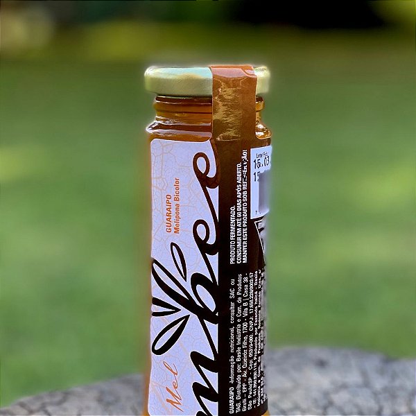 Mel de Guaraipo (140g)