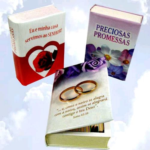 Caixinha de Promessas livro