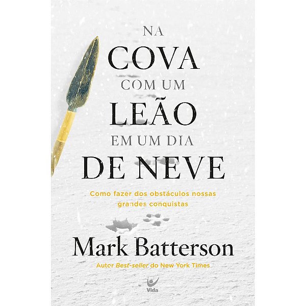 Na Cova Com um Leão em um Dia de Neve, Mark Batterson - Vida #20AnosDe100%