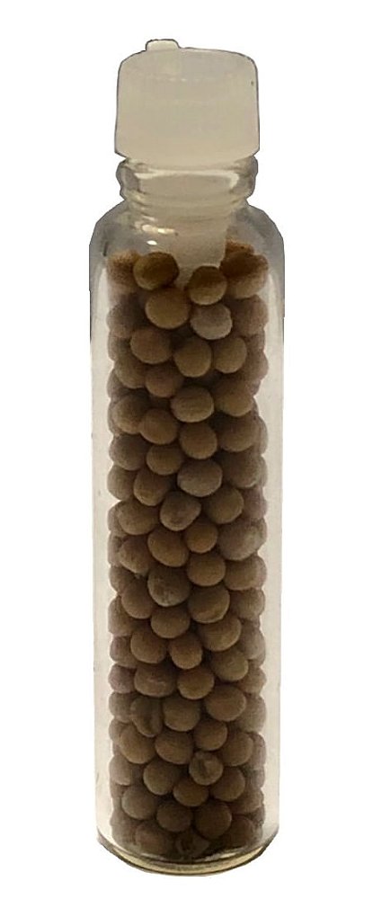 Grão De Mostarda Para Campanha