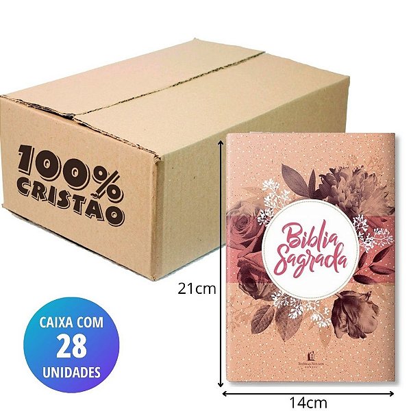 Caixa Bíblia NVI Leitura Perfeita - Meu Plano Perfeito Rosa