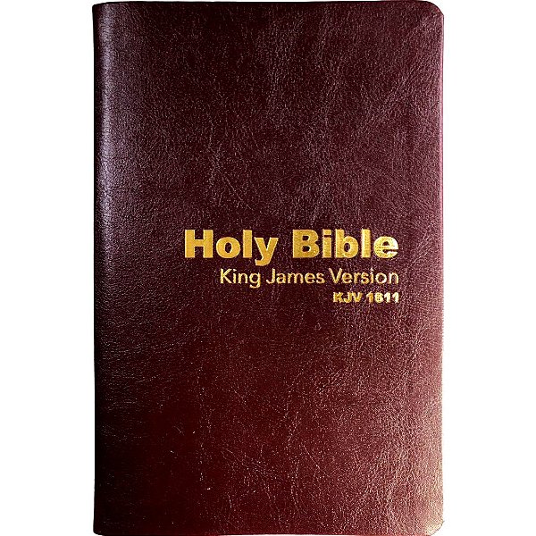 Holy Bible King James Version - Luxo Vinho