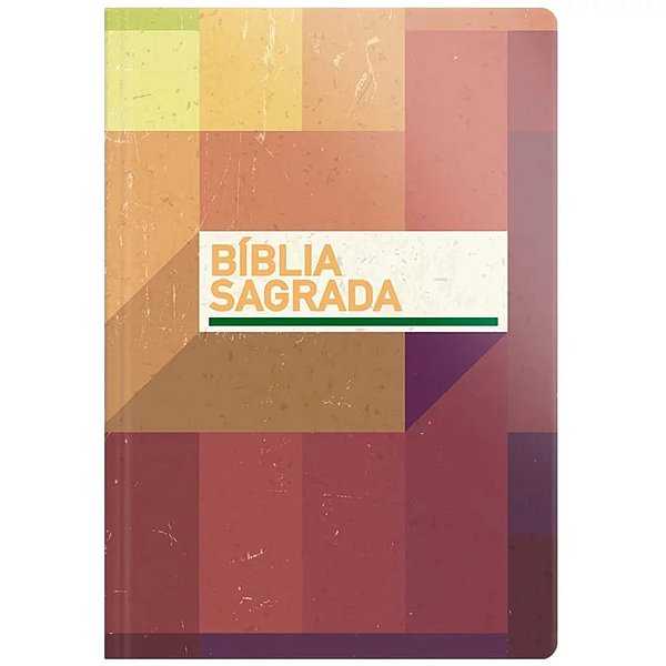 Bíblia NVT - Letra Grande - Brochura - Neutra - Geográfica