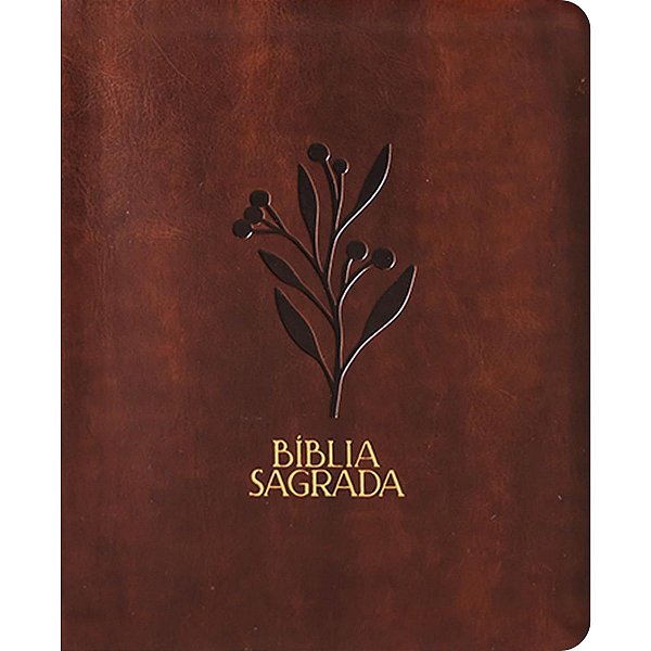 Bíblia Mulheres NVT, Viviane Martinello  - Capa Luxo - Vida