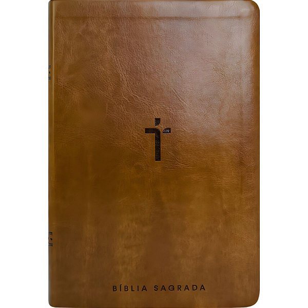 Bíblia NAA Marrom - Letra Gigante - Capa Luxo - Vida #LiquidaJaneiro