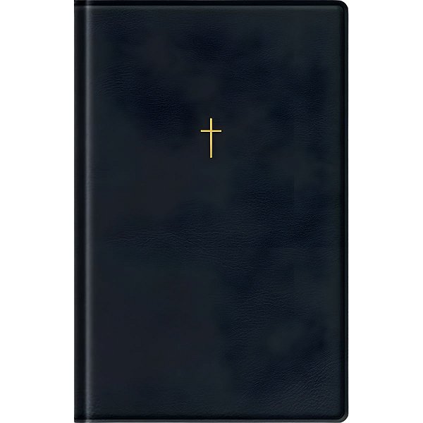 Bíblia NAA Preto - Letra Gigante - Capa Luxo - Vida #LiquidaJaneiro