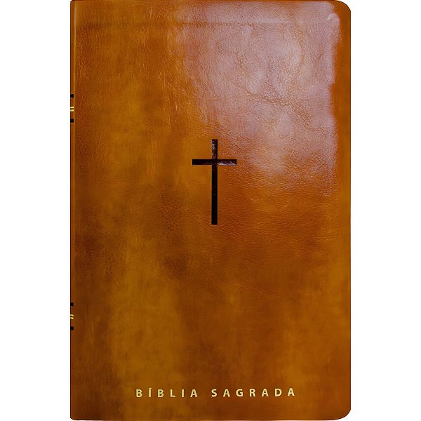 Bíblia NVT Caramelo - Letra Gigante - Capa Luxo - Vida