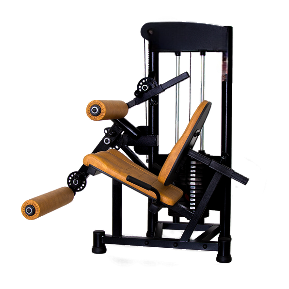 Equipamento Academia Cadeira Extensora e Flexora Conjugada