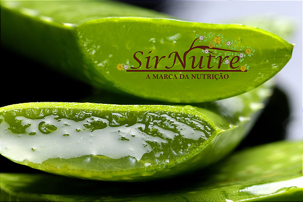 Folha De Babosa (grossa) Aloe Vera/ Barbadensis Miller 1 Kg