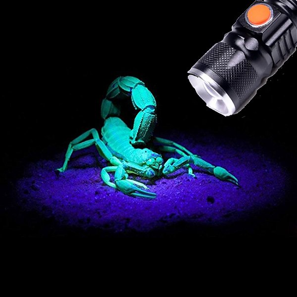Lanterna Ultravioleta Usb 395Nm Caça Escorpião Noturno