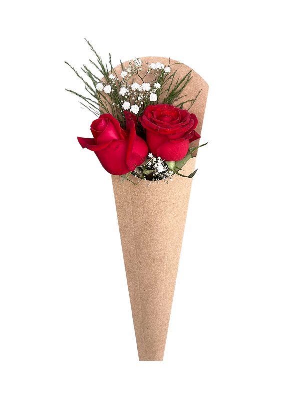 Duas Rosas no Cone