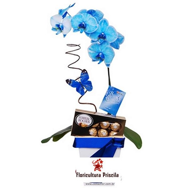Orquídea Azul com Ferrero Rocher - Luar
