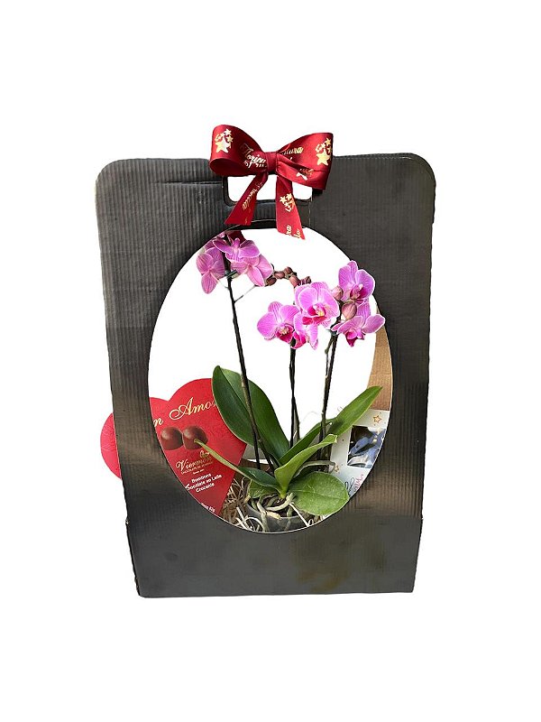 Orquídea e Chocolates Nobreza