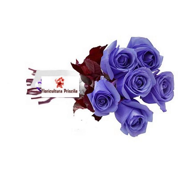 Buque 6 Rosas Azuis