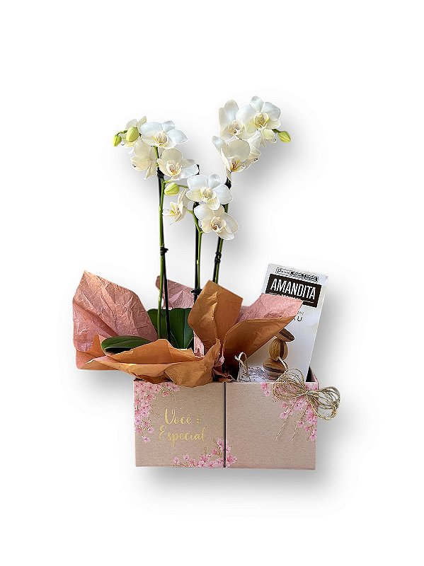 Orquídea Branca Carinho