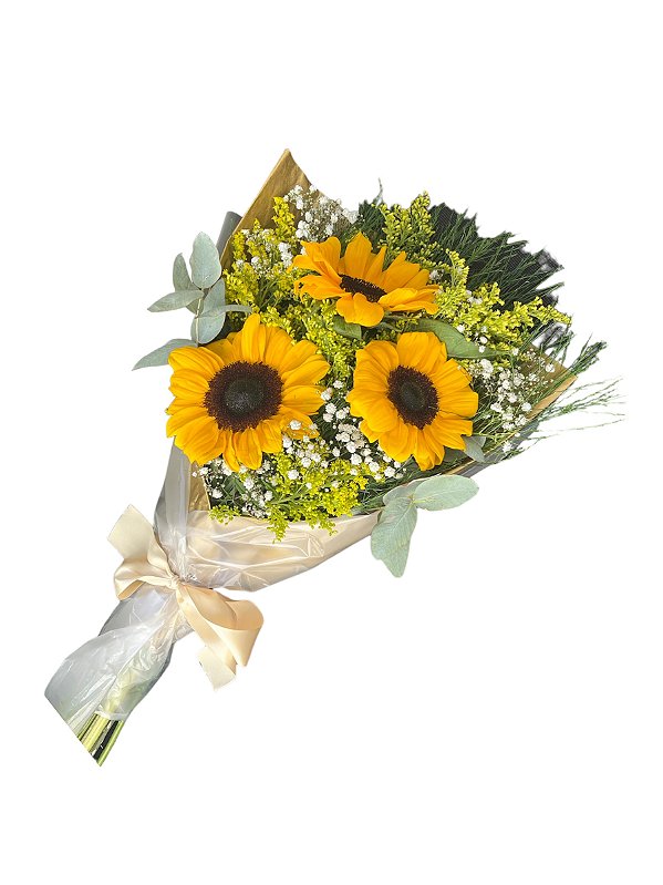 Buque Encanto Girassol