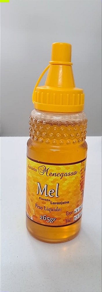 MEL BISNAGA 265G - LARANJEIRA - APIARIO MENEGASSO