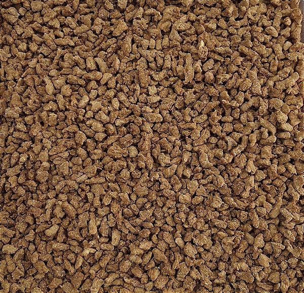 PROTEINA DE SOJA CARNE 100G