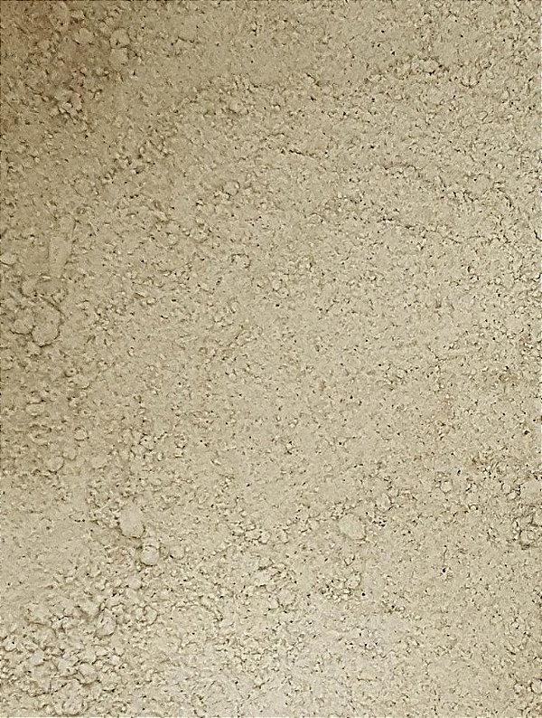 CARDAMOMO EM PO 100G