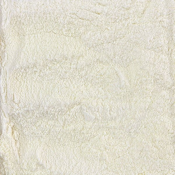 LEITE EM PO DESNATADO 100G