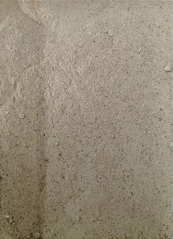 FARINHA DE BATATA DOCE 100G