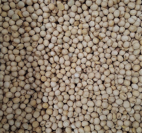 SOJA EM GRAO 100G