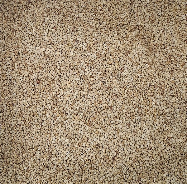 GERGELIM C/ CASCA TORRADO 100G