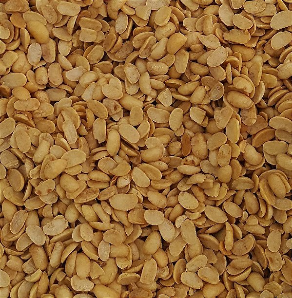 SOJA TORRADA S/SAL 100G