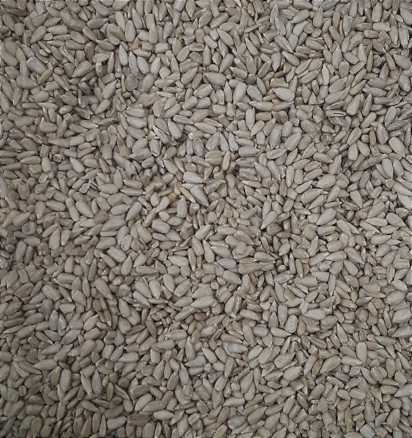 SEMENTE DE GIRASSOL CRUA 100G