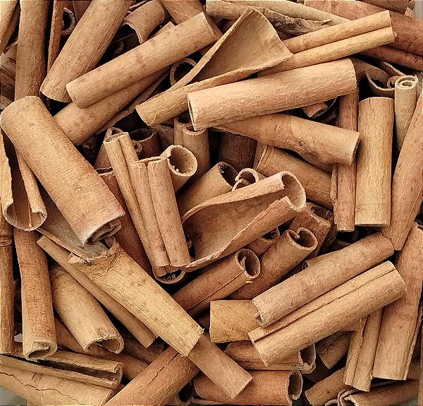 CANELA EM PAU 100G