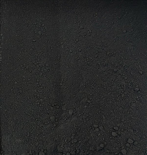 CARVAO VEG ATIVADO 100G