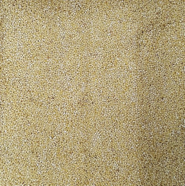 PAINÇO SEM CASCA 100G