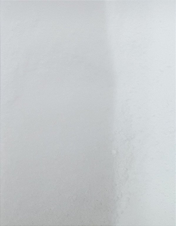 FRUTOSE CRISTALINA 100G