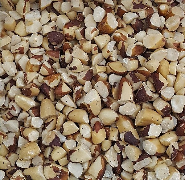 CASTANHA DO PARA PARTIDA 100G