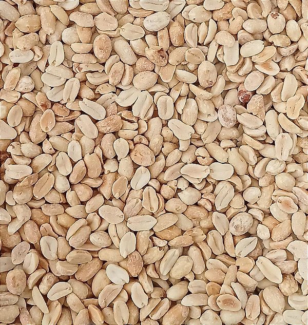 AMENDOIM TORRADO S/ PELE C/ SAL 100G