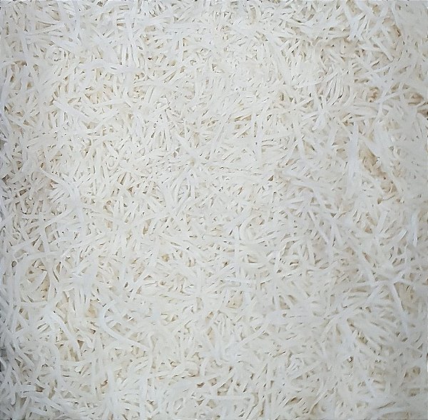 COCO EM FLOCOS S/ AÇUCAR 100G