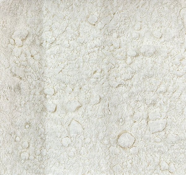 LEITE DE COCO EM PÓ VEGANO 100G