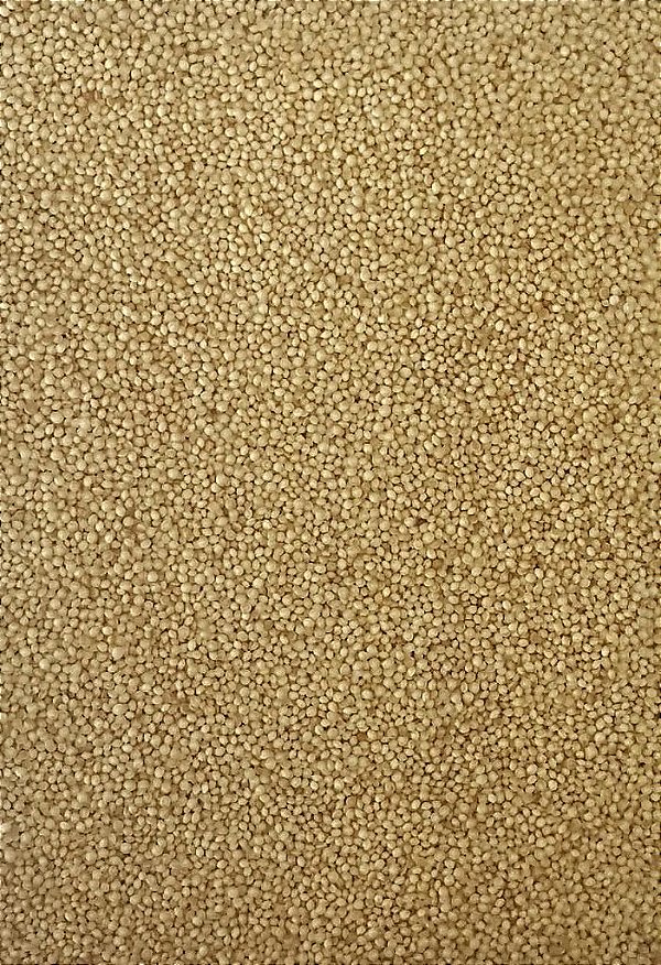 AMARANTO EM GRAO 100G