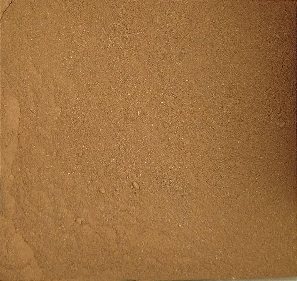 CANELA EM PÓ PURA 100G