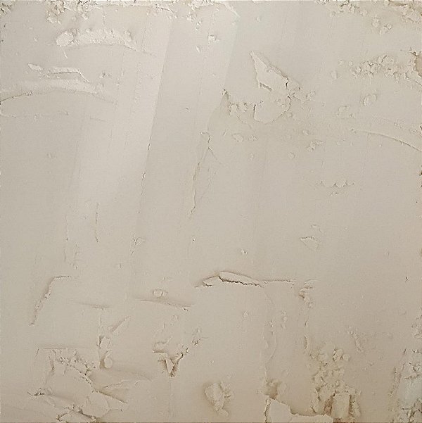 PROTEINA ISOLADA DE SOJA 90% 100G