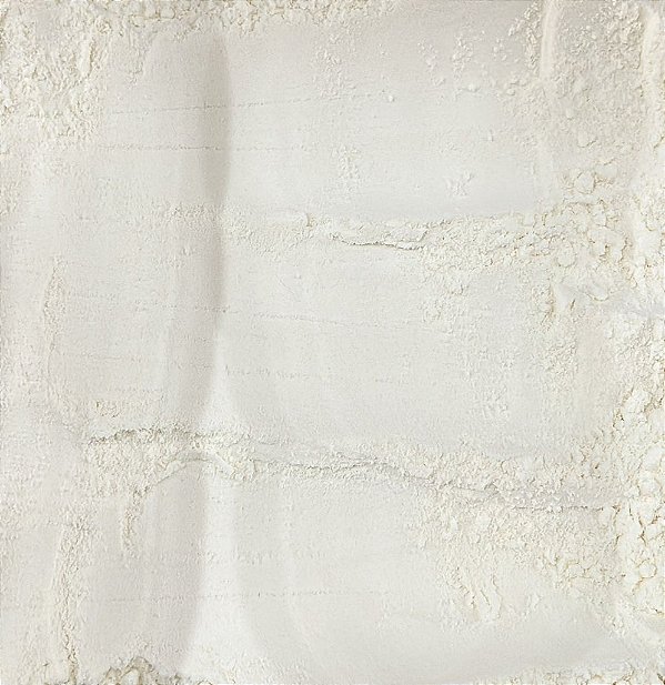 LEITE DE COCO EM PÓ 100G