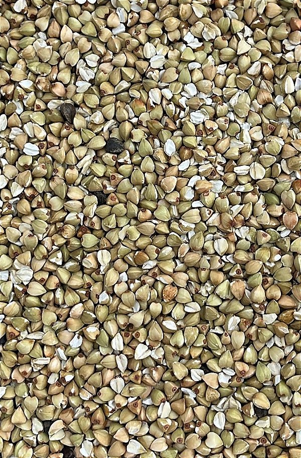 TRIGO MOURISCO / SARRACENO EM GRAO 100G