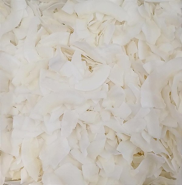 COCO CHIPS S/ BORDA S/ AÇUCAR 100G